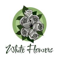 white rose flowers plant illustration vector