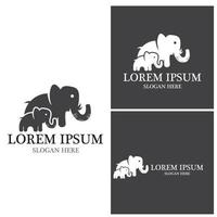 Elephant icon and symbol vector template illustration