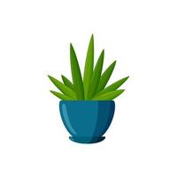 Potted plant. Succulent plant in cartoon style. Vector illustration