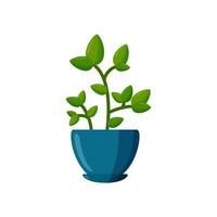 Potted plant. Green plant in cartoon style. Vector illustration