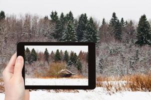 tourist photographs wooden house in snowed forest photo