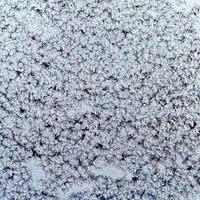snowflakes and frost on frozen window glass photo
