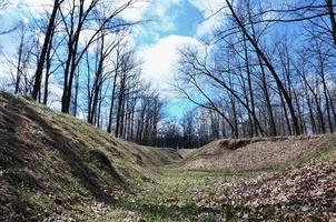 Spring landscape with a deep ravine filled with fallen leaves surrounded by a lot of trees on the edge of the forest next to the village photo
