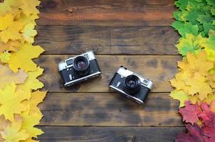 Two old cameras among a set of yellowing fallen autumn leaves on a background surface of natural wooden boards of dark brown color photo