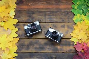 Two old cameras among a set of yellowing fallen autumn leaves on a background surface of natural wooden boards of dark brown color photo