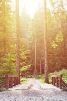 A small short bridge across the river for driving cars in the middle of the forest photo