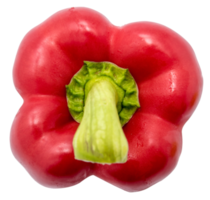 Sweet red pepper isolated png