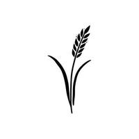 Wheat, barley, rice icon. Hand drawn vector