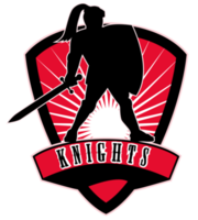 Knight with sword and shield png