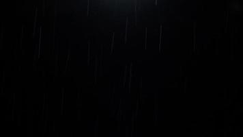 chuva noturna. Gotas de chuva de loop de 4k caindo na estação chuvosa. video