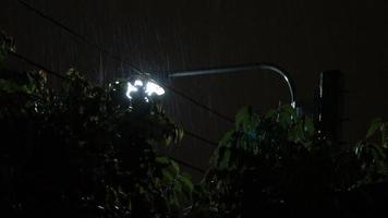 Gotas de chuva de 4k filmagens caindo à noite em bangkok tailândia em julho chovendo temporada. video