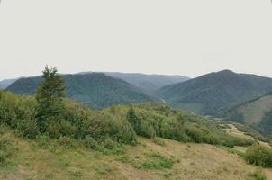 Fragment of the mountainous terrain in the Carpathians, Ukraine. The forest is forgiven by the reliefs of the Carpathian Mountains photo