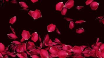 Rose Patel Falling, Filling Screen Then Reveal Happy Valentines Day, 3D Rendering, Chroma Key, Luma Matte Selection video