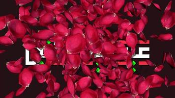 rose patel blast effet ralenti rendu 3d, eid milad un nabi pbuh anniversaire, bonne saint valentin, chroma key, sélection luma matte video