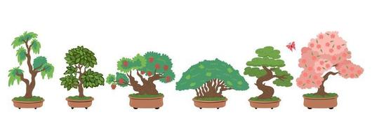 Bonsai trees set isolated on white background. Vector graphics.