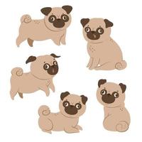 Set of cute pugs isolated on a white background. Vector graphics.