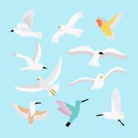 Set Of Flat Bird Illustration vector