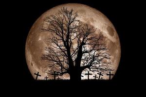 Halloween wallpapers and horror photo