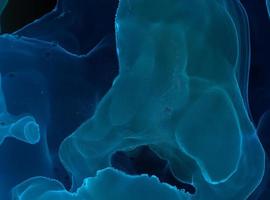 Alcohol Ink Texture. Art Digital Elegant Wall. photo