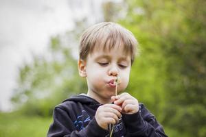 A happy boy on a spring day in the garden blows on white dandelions, fluff flies off him. The concept of outdoor recreation in childhood. Portrait of a cute boy. photo