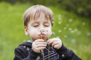 A happy boy on a spring day in the garden blows on white dandelions, fluff flies off him. The concept of outdoor recreation in childhood. Portrait of a cute boy. photo