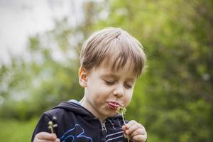 A happy boy on a spring day in the garden blows on white dandelions, fluff flies off him. The concept of outdoor recreation in childhood. Portrait of a cute boy. photo