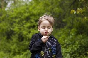 A happy boy on a spring day in the garden blows on white dandelions, fluff flies off him. The concept of outdoor recreation in childhood. Portrait of a cute boy. photo