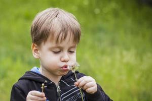 A happy boy on a spring day in the garden blows on white dandelions, fluff flies off him. The concept of outdoor recreation in childhood. Portrait of a cute boy. photo