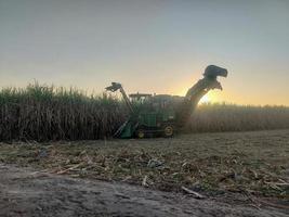 Sugar cane harvesting machine Loading sugarcane truck Productivity ready to sell photo