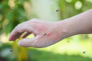 los mosquitos pican en adultos hechos a mano erupción cutánea y alergia con mancha roja foto