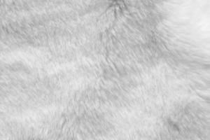 White fur fabric texture background photo