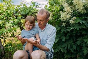 A little girl hugs her grandfather on a walk in the summer outdoors. photo