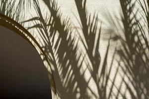 shadows of palm leaves on the arched blank wall photo