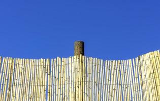 light-colored bamboo fence against a clear sky photo