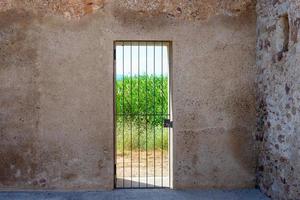 una puerta con una reja en un muro de piedra detrás de la cual se ven matorrales de juncos foto