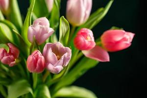 ramo de tulipanes rosas foto