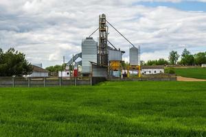 Elevador de granero de silos agrícolas en la planta de fabricación de procesamiento agrícola para procesar, secar, limpiar y almacenar productos agrícolas en campos de centeno o trigo. foto