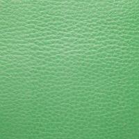 green leather texture photo