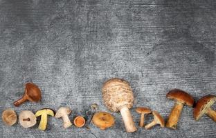 Various mushrooms lie at the bottom of a stone background. The mushrooms are partially cut open photo