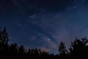 Night starry sky over forest. Tree silhouettes against  backdrop of stars. photo