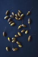 Brown oak nuts acorns close-up on a black background. Oak seeds. photo