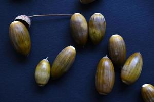 Brown oak nuts acorns close-up on a black background. Oak seeds. photo