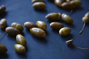 Brown oak nuts acorns close-up on a black background. Oak seeds. photo