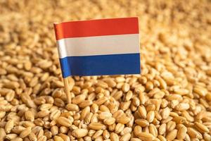 granos de trigo con bandera holandesa, exportación comercial y concepto económico.