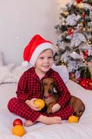 un niño feliz en la cama abraza a un perro salchicha y come mandarinas para el nuevo año. acogedora mañana de navidad. foto de alta calidad