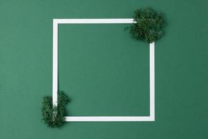 White frame with moss on green background. Flat lay, copy space. photo