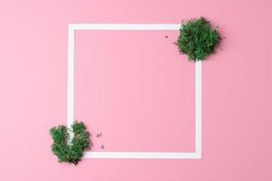 White frame with moss on pink background. Flat lay, copy space. photo