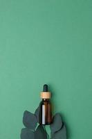 Cosmetic bottle with eucalyptus on green background. Flat lay, copy space photo