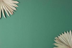 Tropical background with palm leaf on green. Flat lay, copy space photo