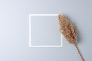Cosmetic background with white frame and pampas on grey. Flat lay, copy space photo